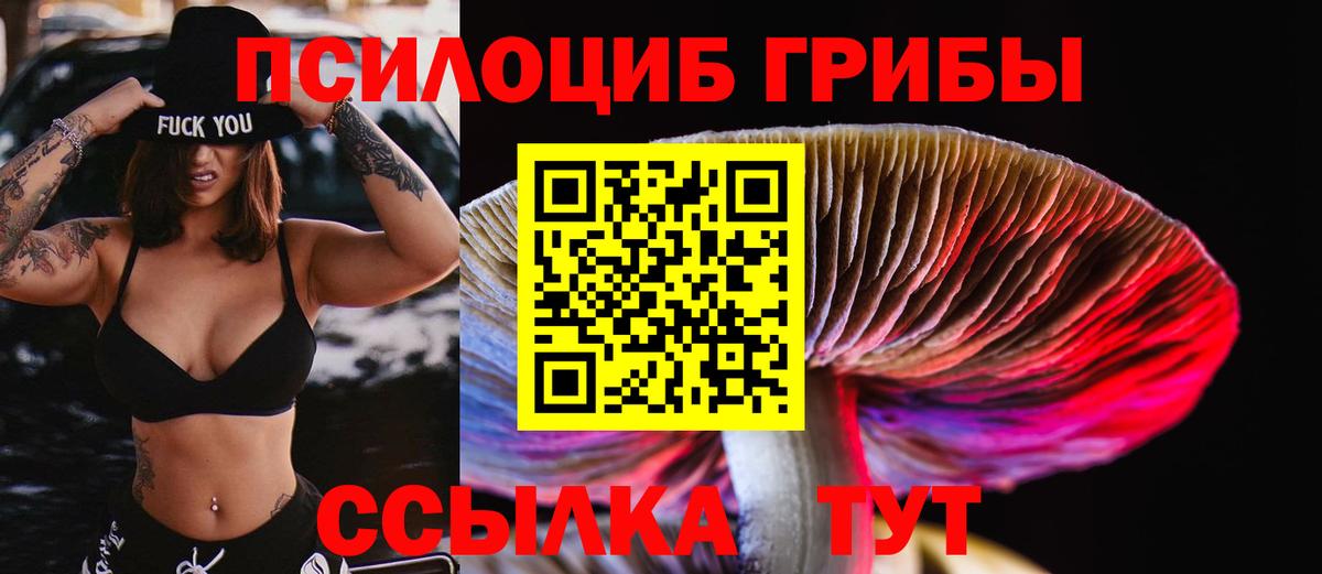 Псилоцибиновые грибы GOLDEN TEACHER Буйнакск