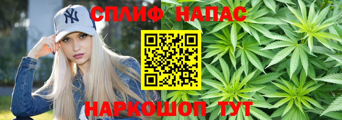 Канабис OG Kush Буйнакск